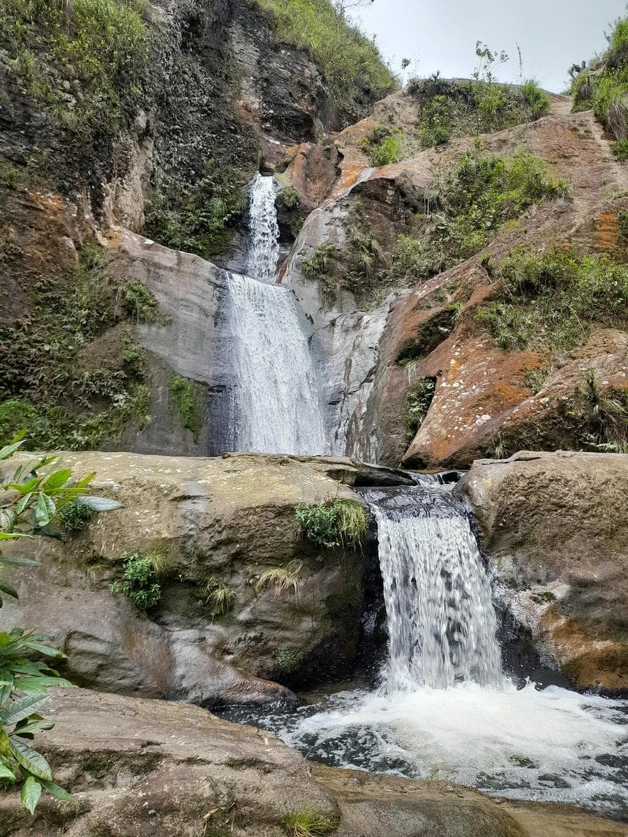Imagem da propriedade 5