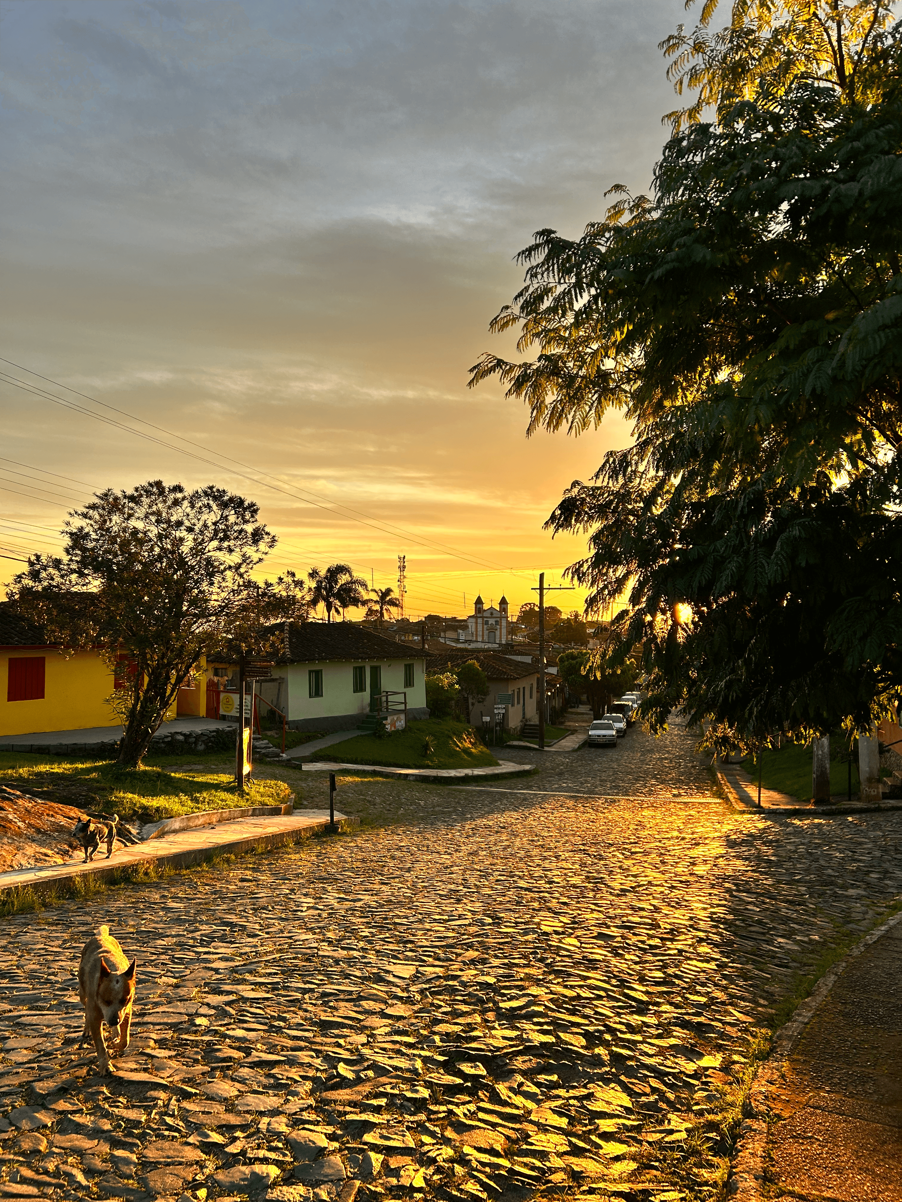 Vista panorâmica de Lavras Novas
