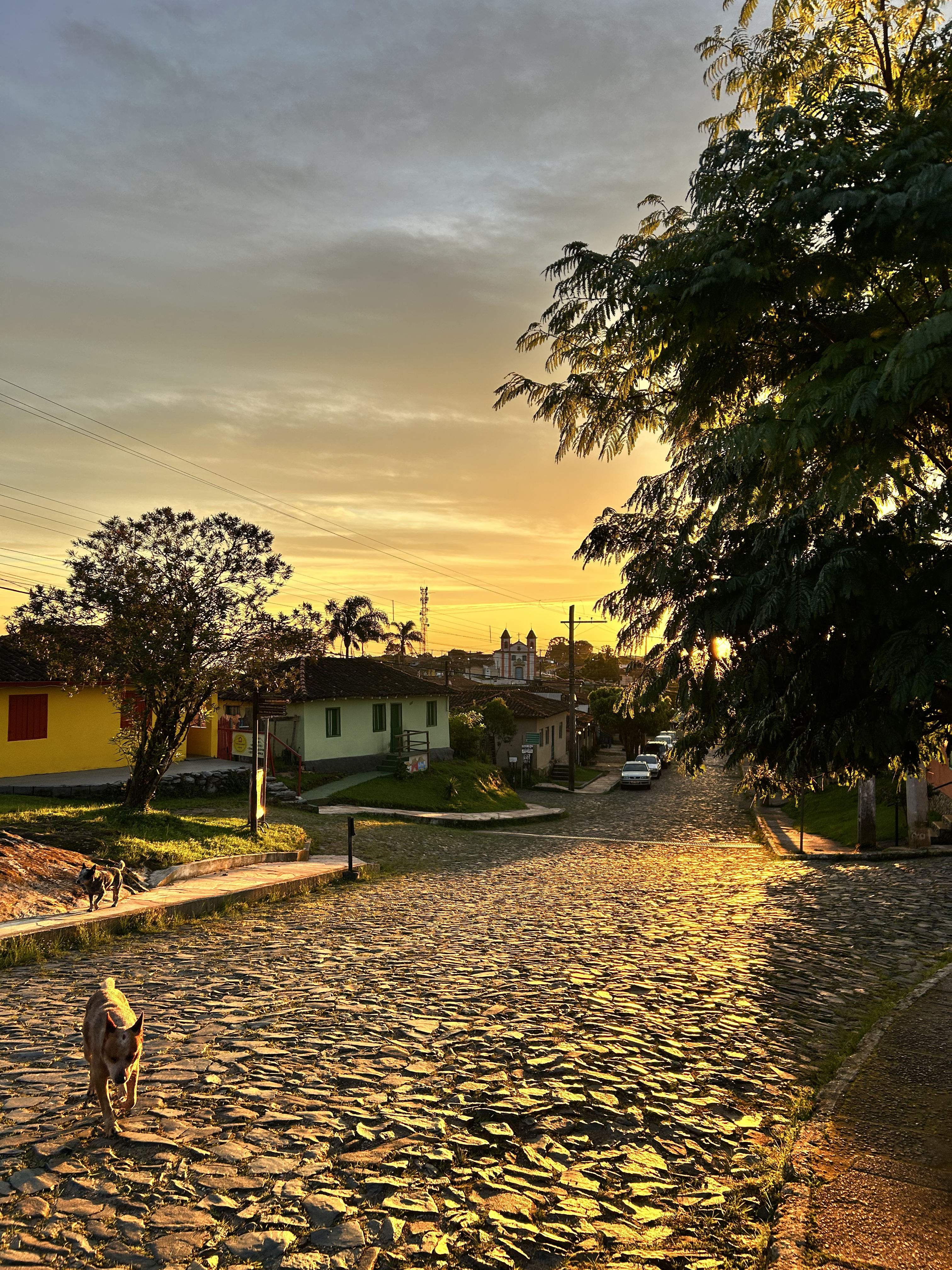 Vista panorâmica de Lavras Novas